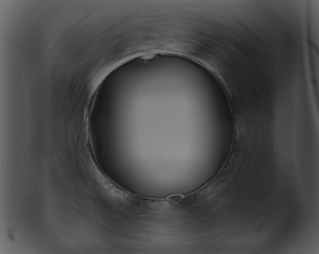 X0000101451524200807141232