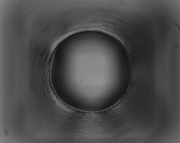 X0000101451526200807141232