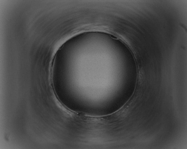 X0000101451528200807141232