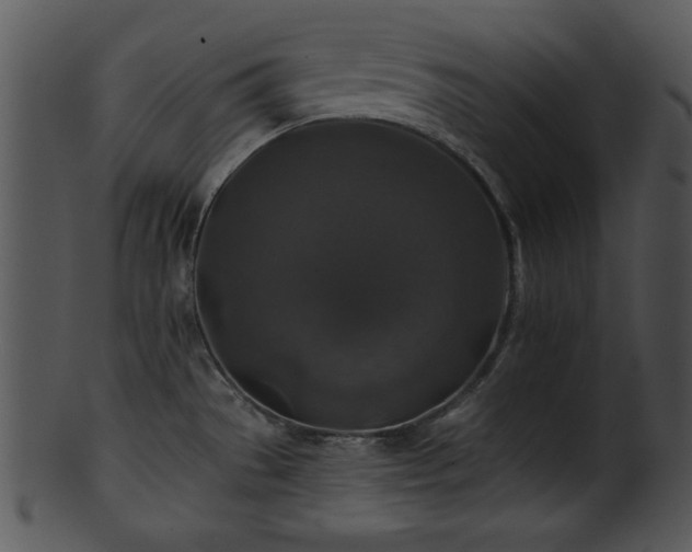 X0000101451529200807141232