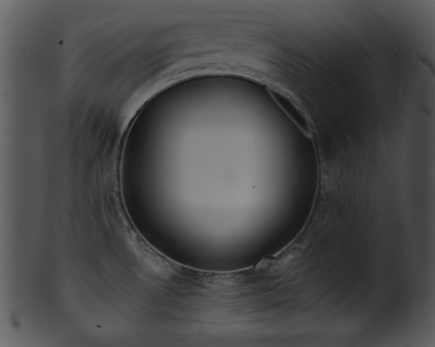 X0000101451530200807141232