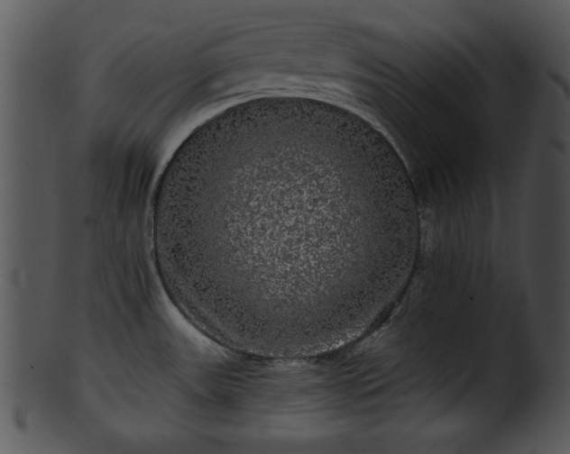 X0000101451531200807141232