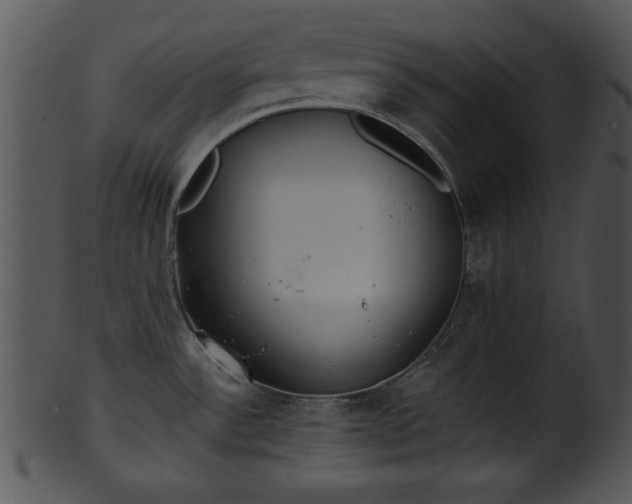 X0000101451532200807141232