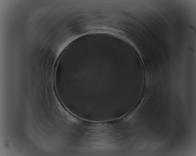 X0000101451533200807141232