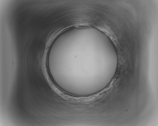 X0000101450001200807211322