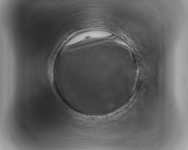 X0000101450002200807211322