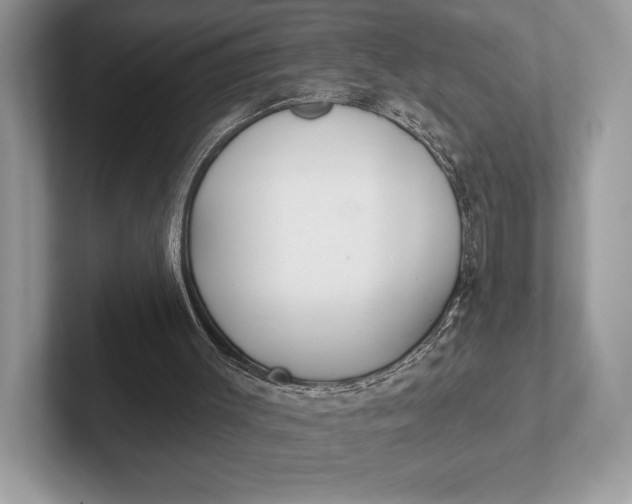 X0000101450003200807211322