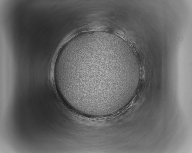 X0000101450004200807211322