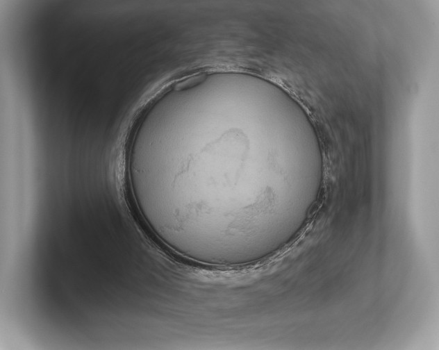 X0000101450005200807211322