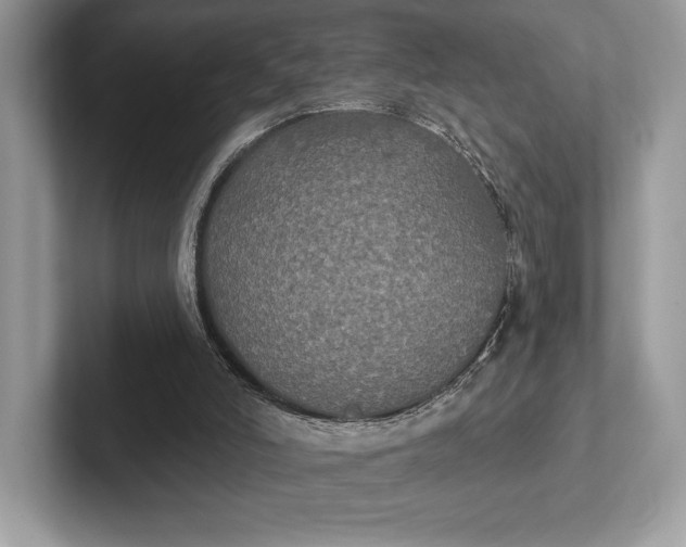 X0000101450006200807211322