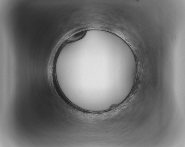 X0000101450007200807211322