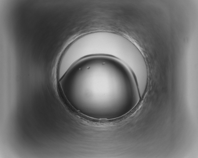 X0000101450008200807211322