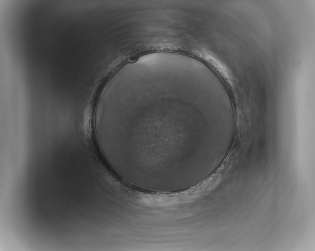 X0000101450009200807211322