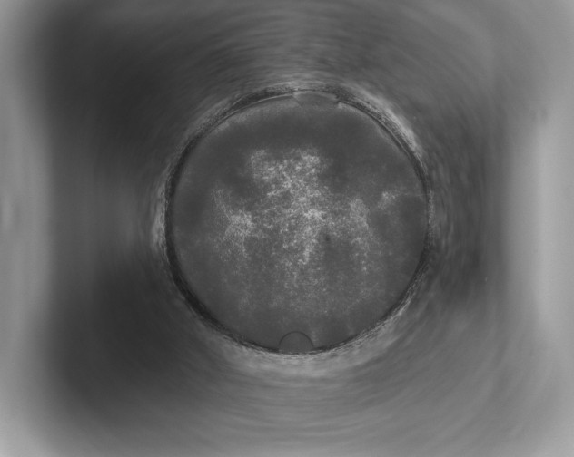 X0000101450010200807211322