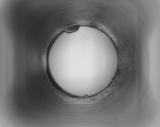 X0000101450011200807211322