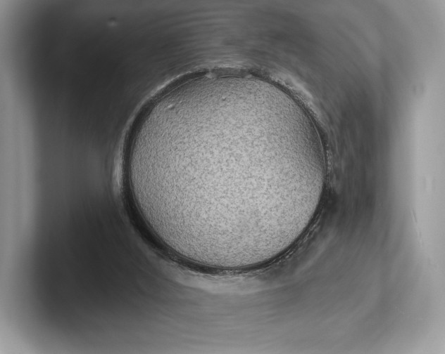 X0000101450012200807211322