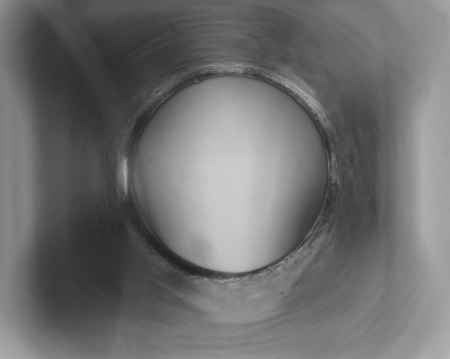 X0000101450013200807211322