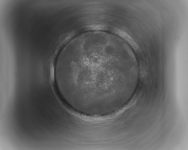 X0000101450014200807211322