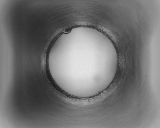 X0000101450015200807211322