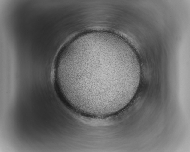 X0000101450016200807211322