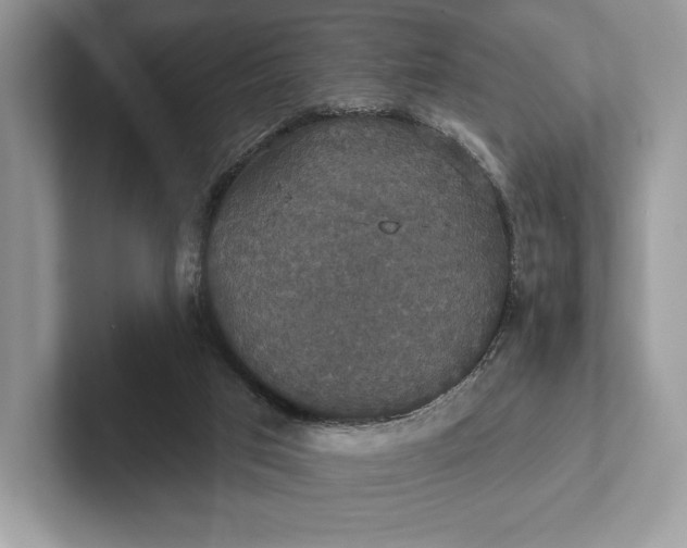 X0000101450017200807211322