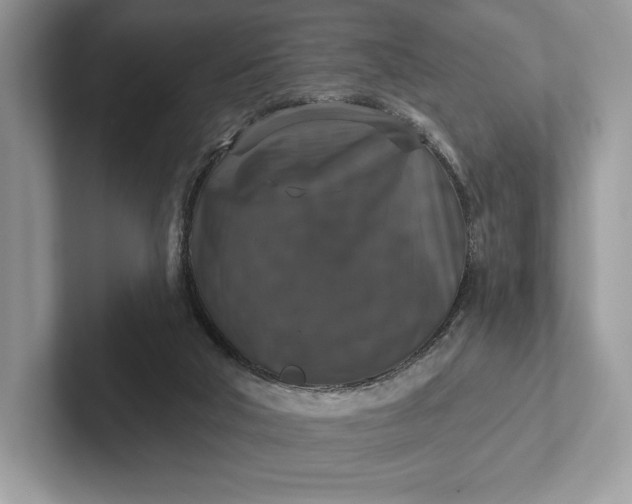 X0000101450018200807211322