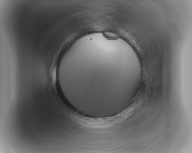 X0000101450019200807211322