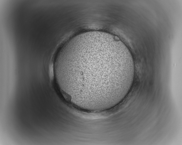 X0000101450020200807211322