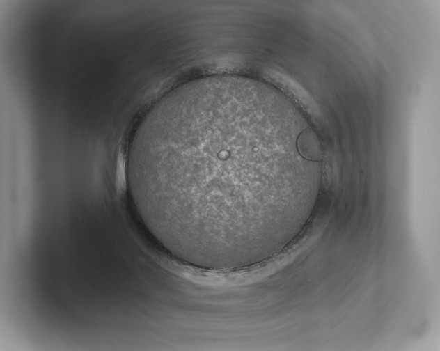 X0000101450022200807211322