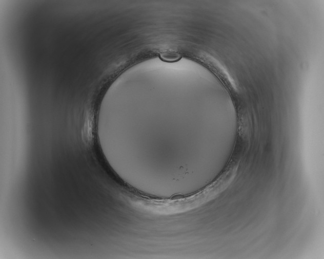 X0000101450023200807211322