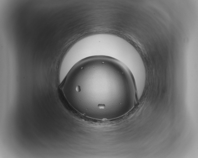 X0000101450024200807211322