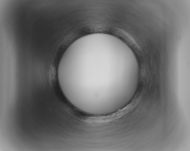 X0000101450025200807211322