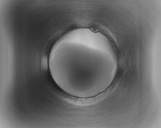 X0000101450027200807211322