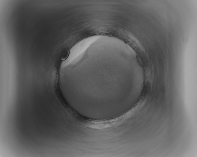 X0000101450029200807211322