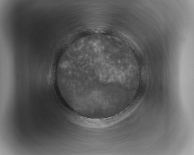 X0000101450030200807211322