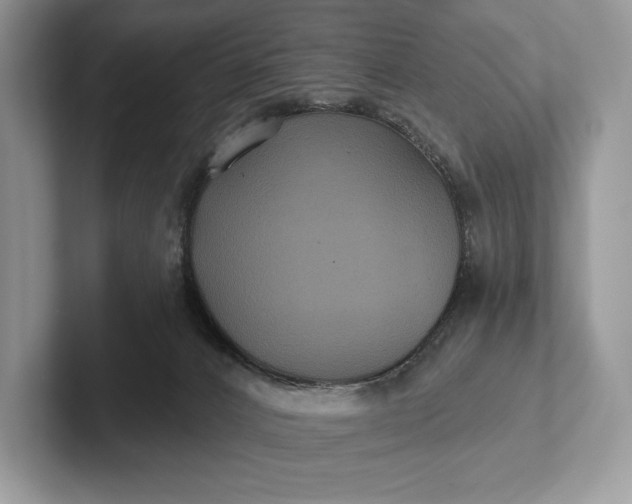 X0000101450032200807211322