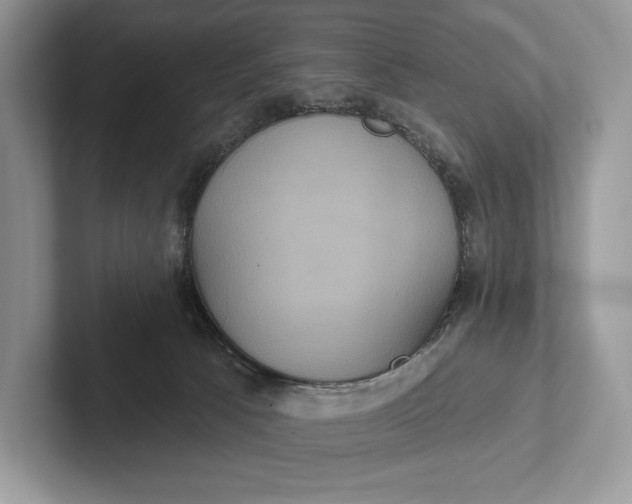 X0000101450033200807211322