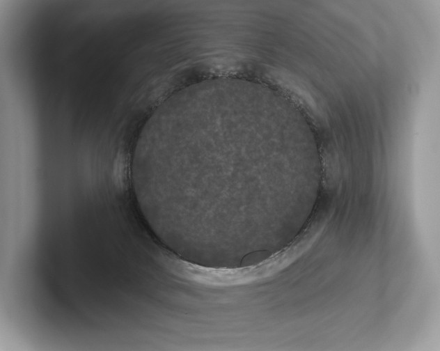 X0000101450034200807211322