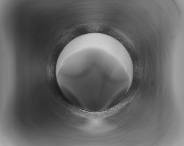 X0000101450035200807211322