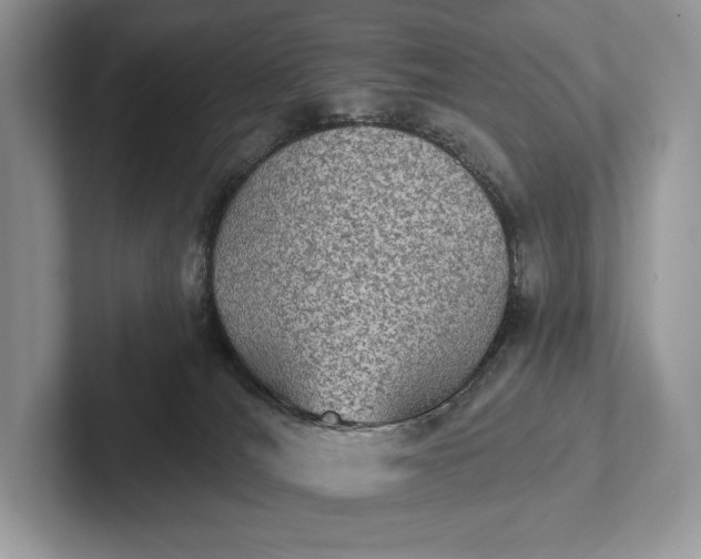 X0000101450036200807211322