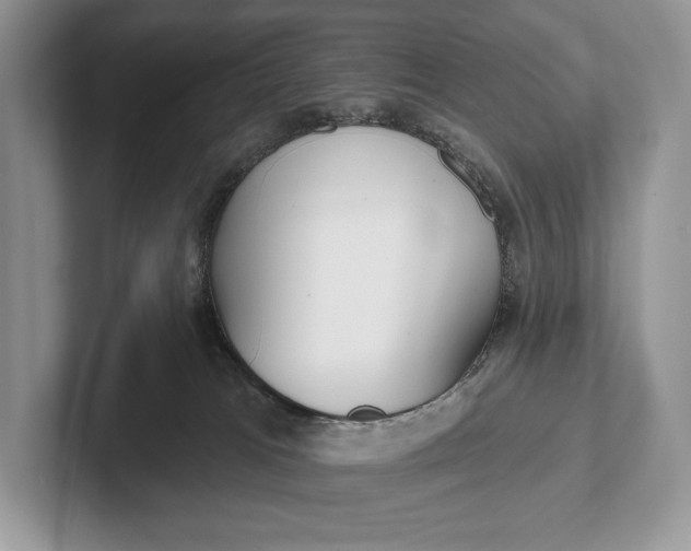 X0000101450037200807211322