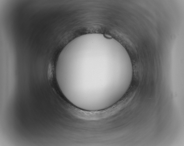 X0000101450038200807211322