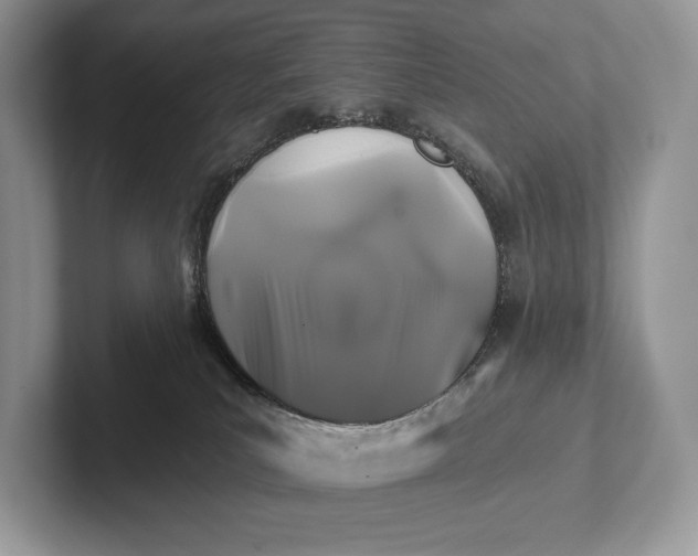 X0000101450039200807211322