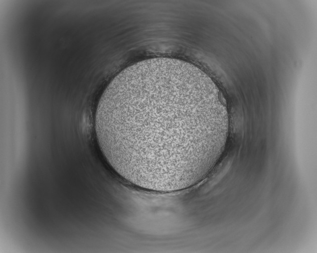 X0000101450040200807211322