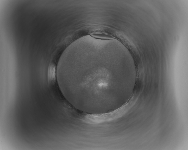 X0000101450041200807211322