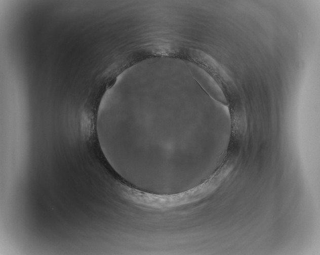 X0000101450043200807211322