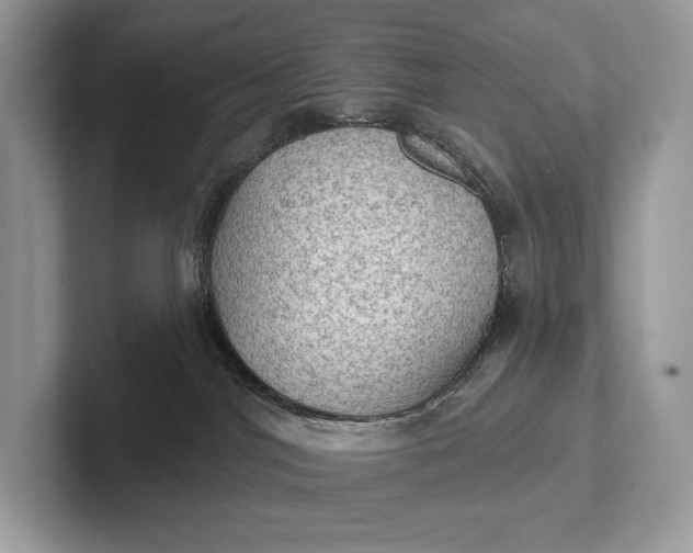 X0000101450044200807211322