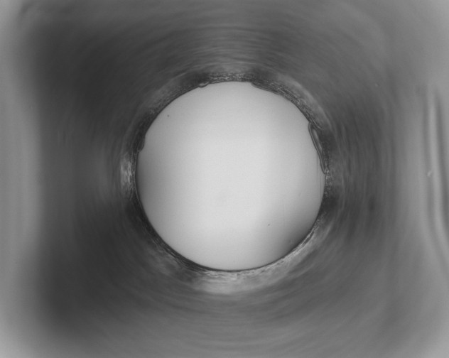 X0000101450045200807211322