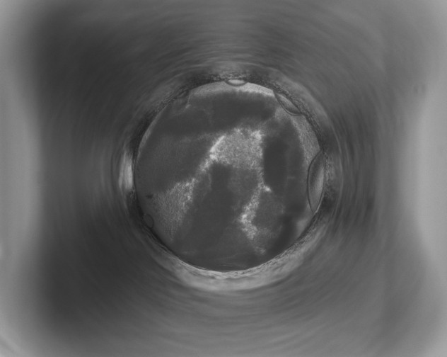 X0000101450046200807211322