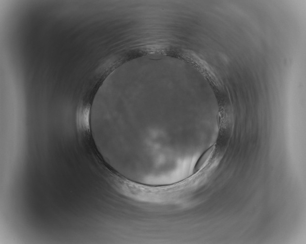 X0000101450047200807211322